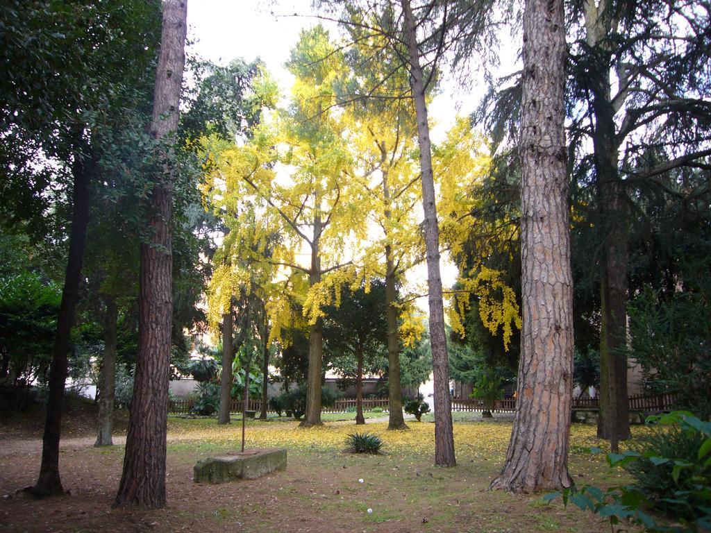 Villa Altieri Albano Laziale Exteriör bild