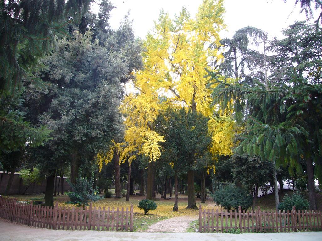 Villa Altieri Albano Laziale Exteriör bild