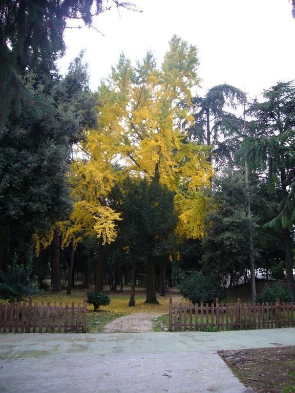 Villa Altieri Albano Laziale Exteriör bild