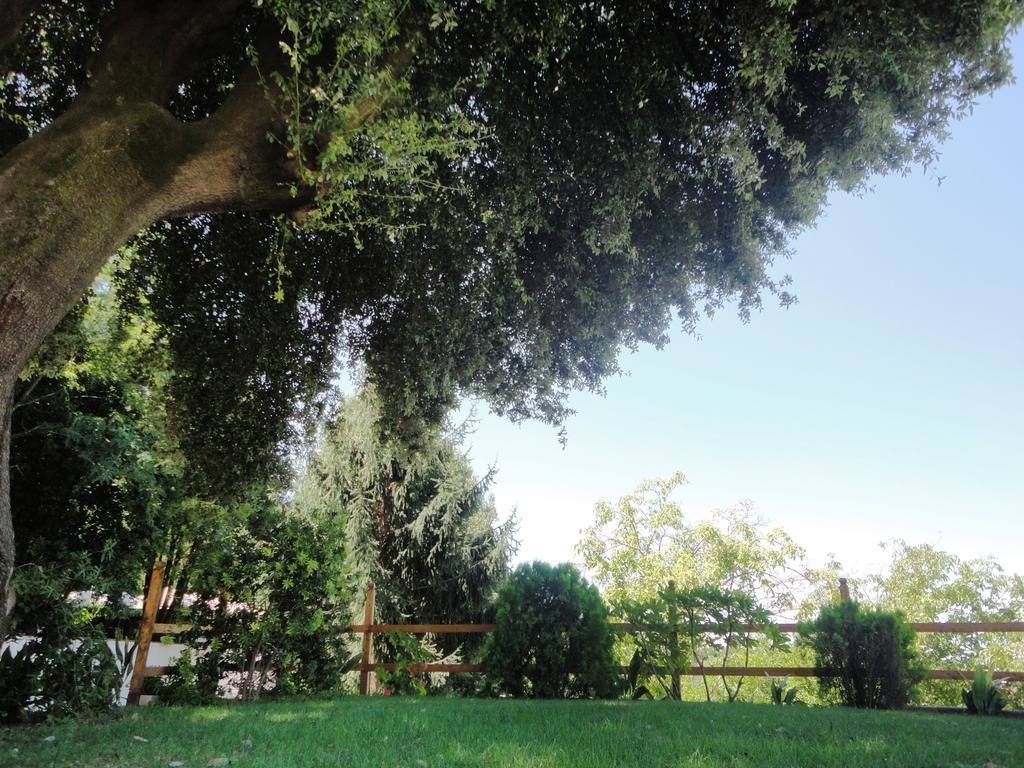 Villa Altieri Albano Laziale Exteriör bild